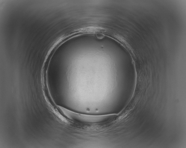 X0000054391083200507291137