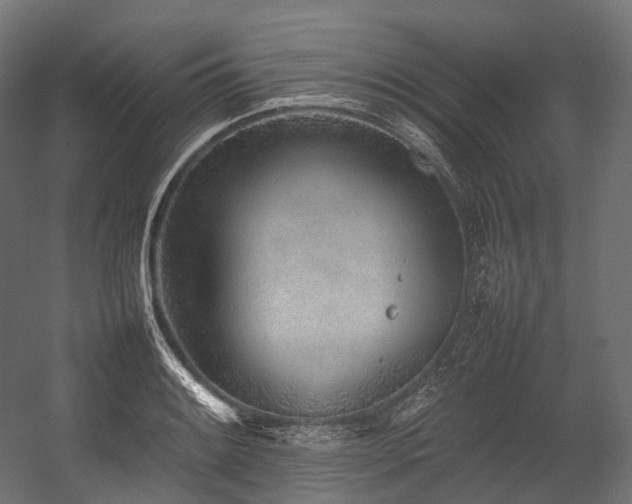 X0000054391084200507291137