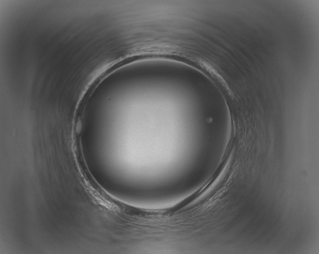 X0000054391085200507291137