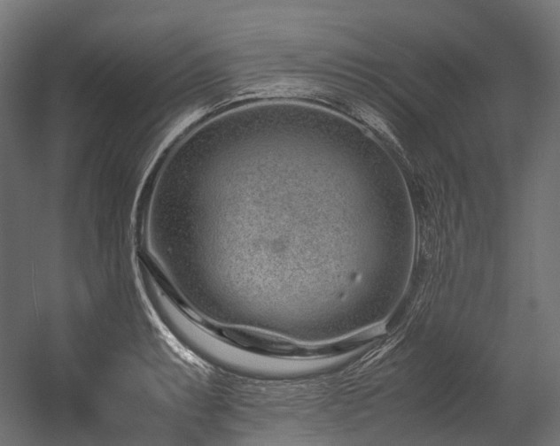 X0000054391087200507291137