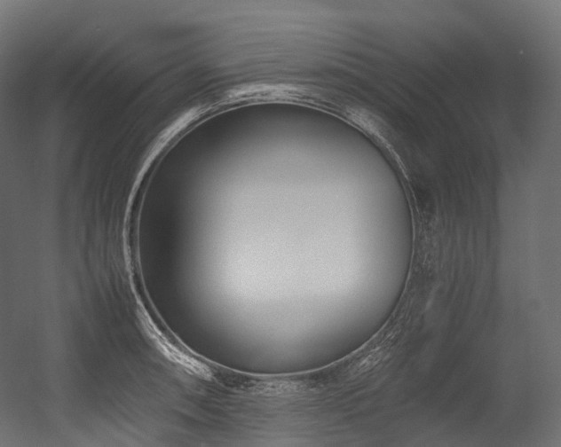 X0000054391090200507291137