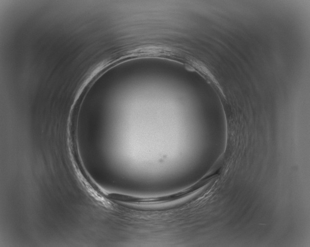 X0000054391091200507291137