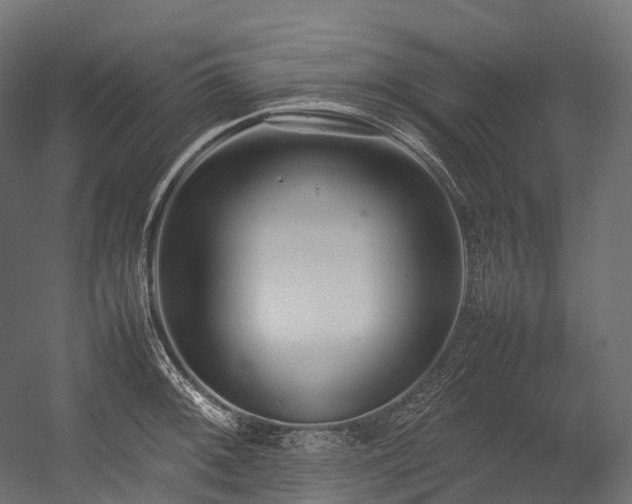 X0000054391092200507291137