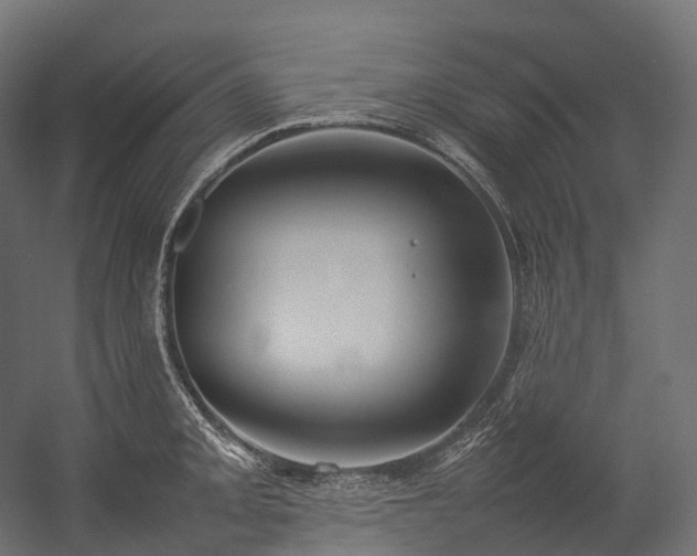 X0000054391093200507291137