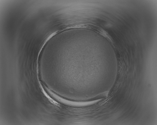 X0000054391095200507291137