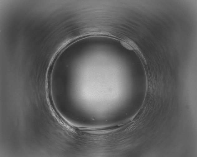 X0000054391096200507291137