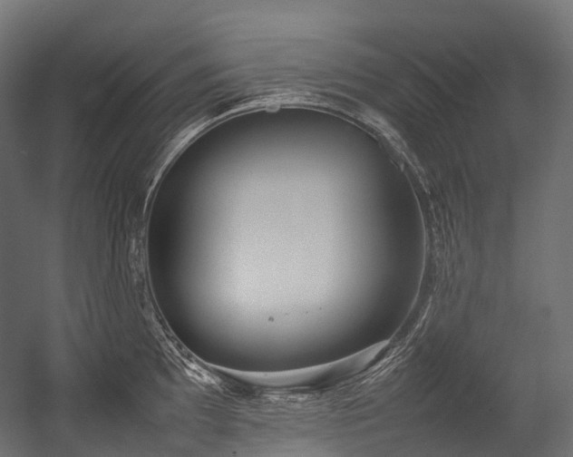 X0000054391097200507291137