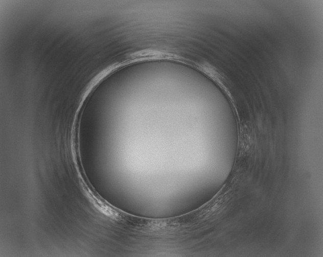 X0000054391098200507291137