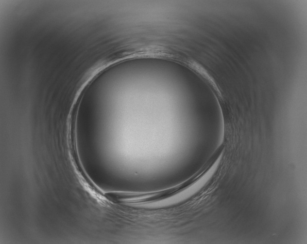 X0000054391099200507291137