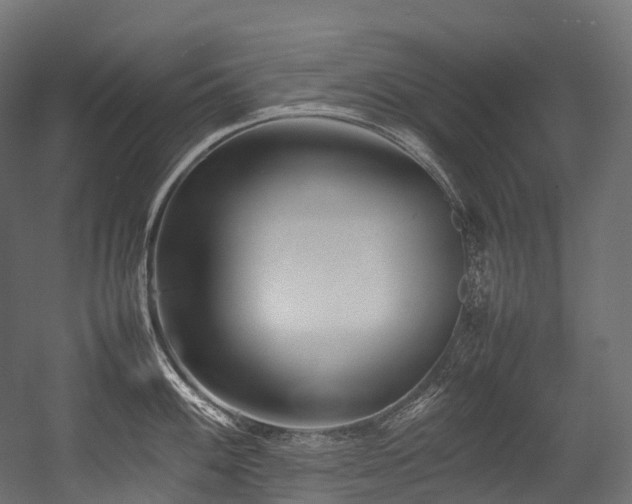 X0000054391100200507291137