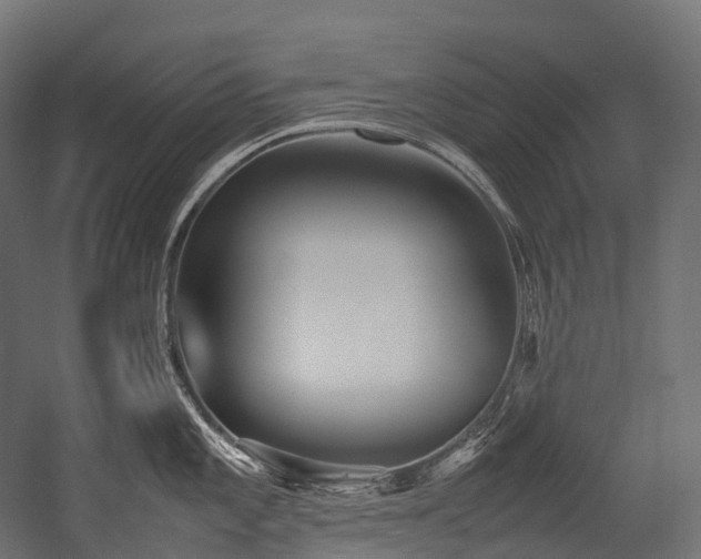 X0000054391101200507291137