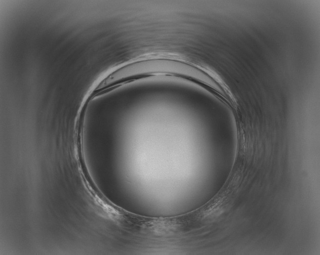 X0000054391102200507291137