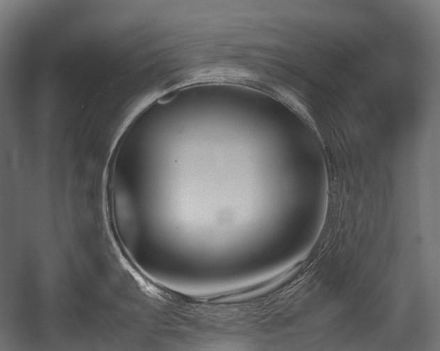 X0000054391103200507291137