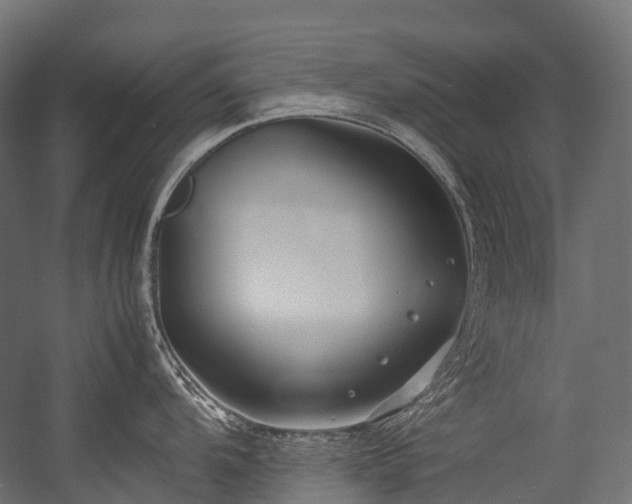 X0000054391104200507291137