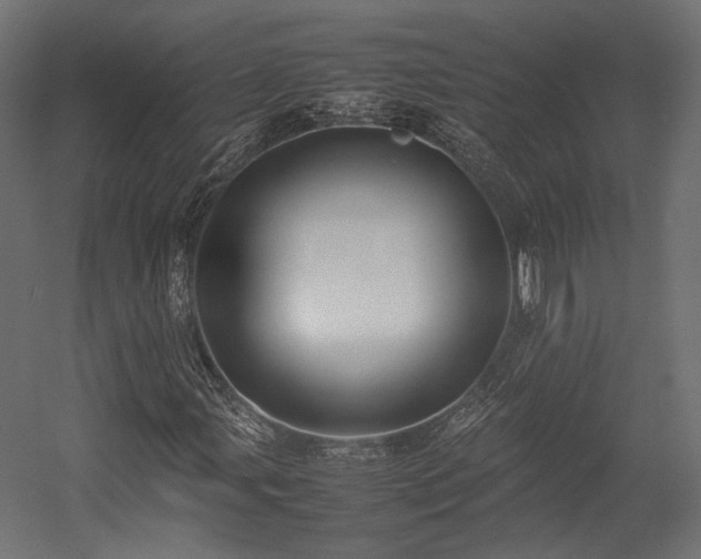 X0000054391107200507291136
