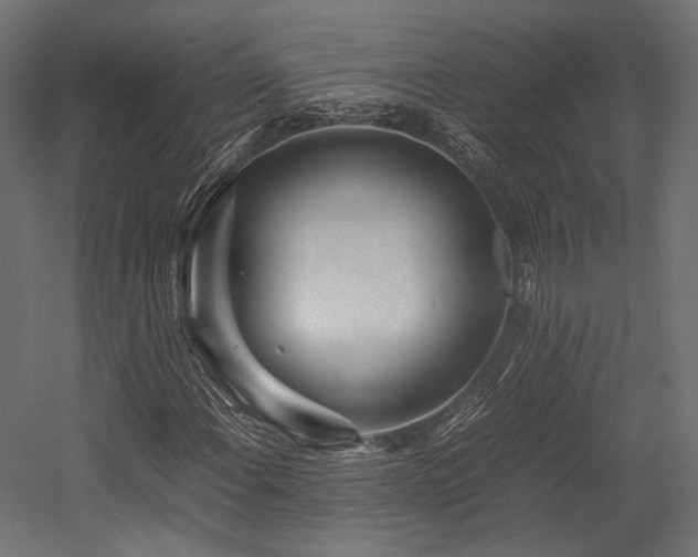 X0000054391108200507291136