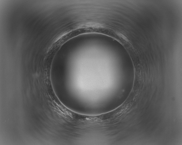 X0000054391112200507291136
