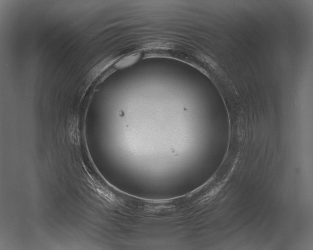 X0000054391113200507291136