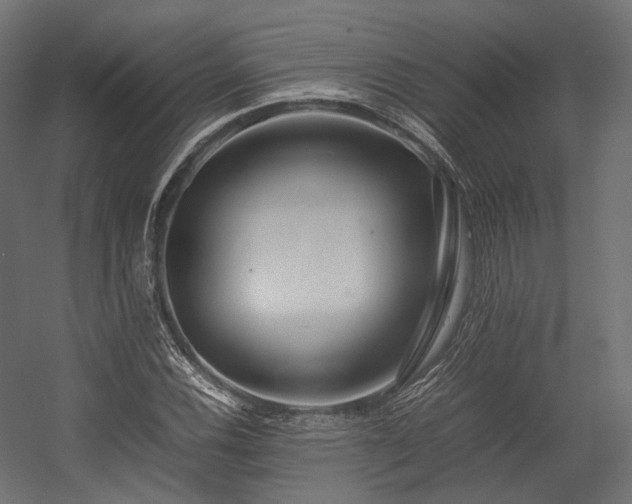 X0000054391116200507291136