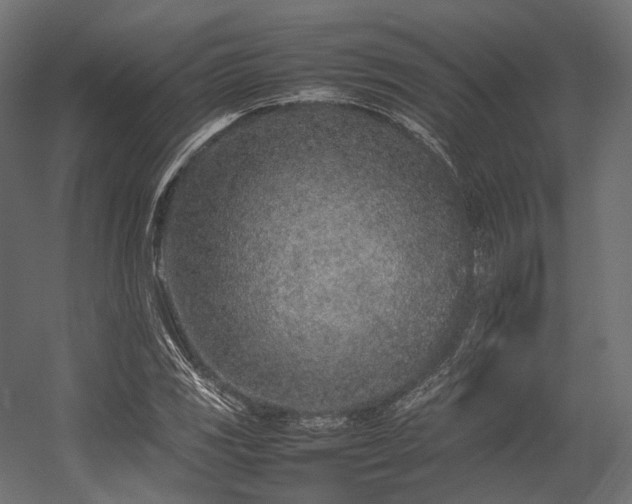X0000054391117200507291136