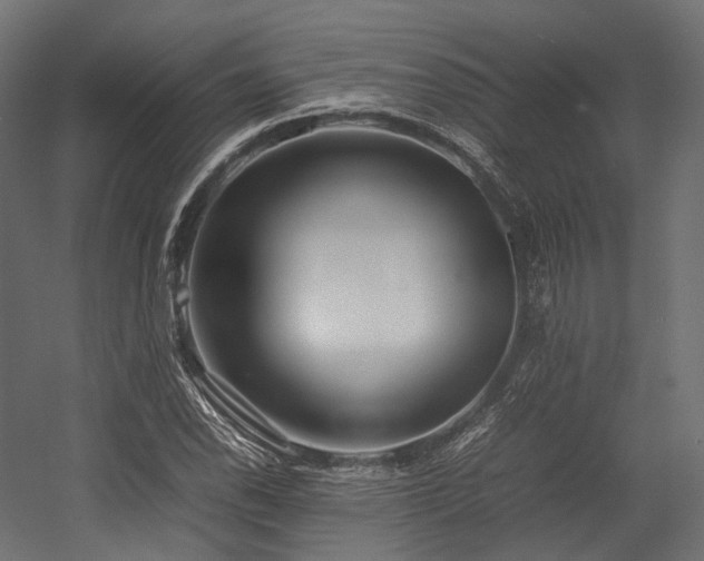 X0000054391118200507291136
