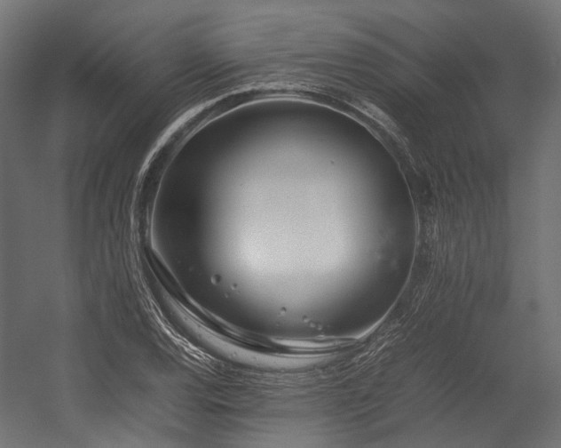 X0000054391120200507291136