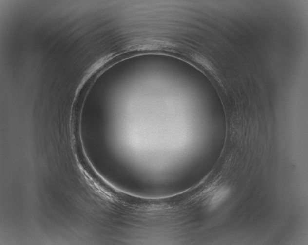 X0000054391122200507291136