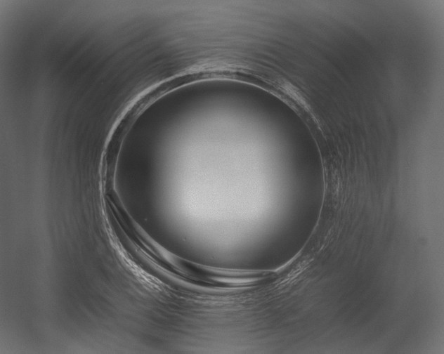 X0000054391124200507291136