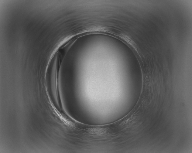 X0000054391127200507291136