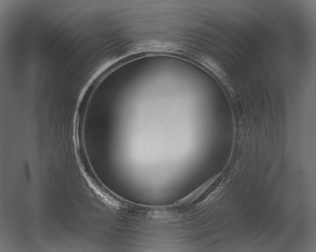 X0000054391128200507291136