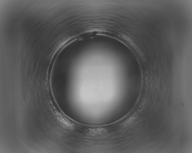 X0000054391129200507291136