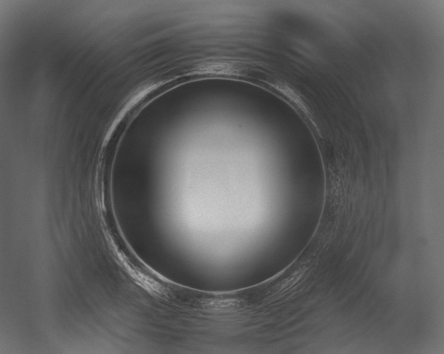 X0000054391131200507291137