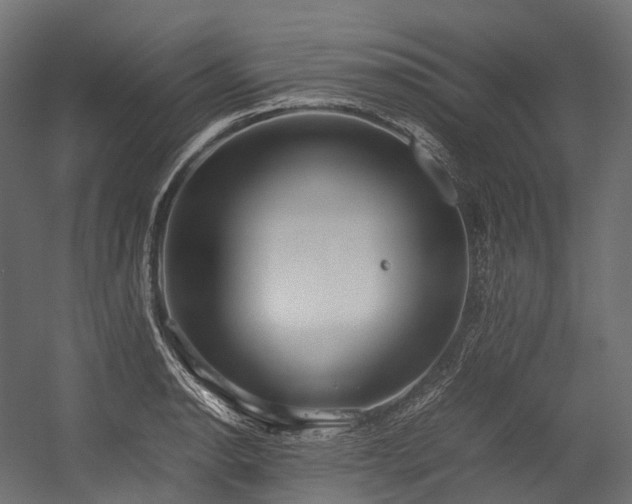 X0000054391134200507291137