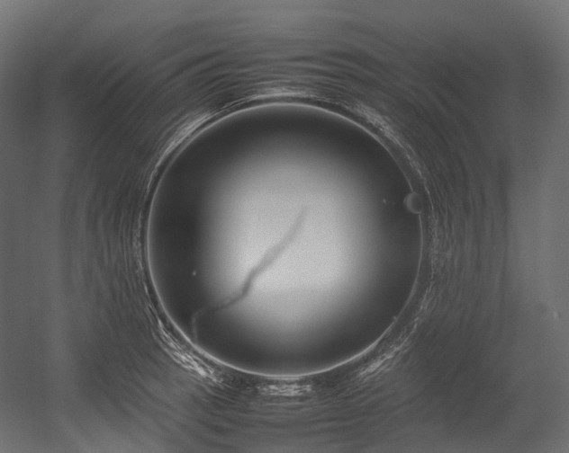 X0000054391137200507291137