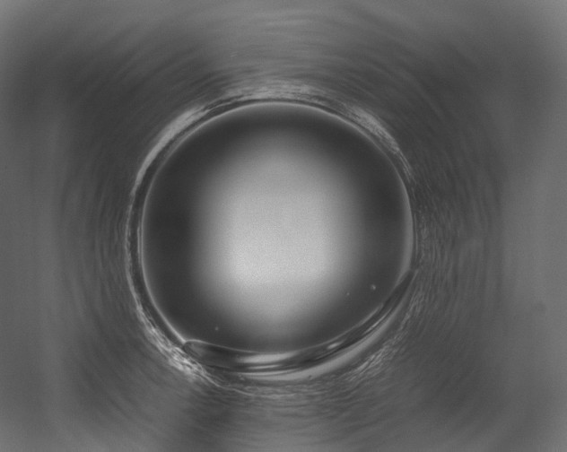 X0000054391138200507291137