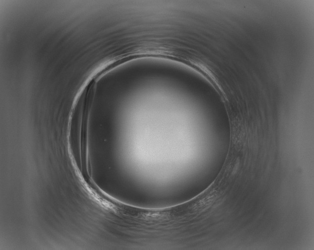 X0000054391139200507291137