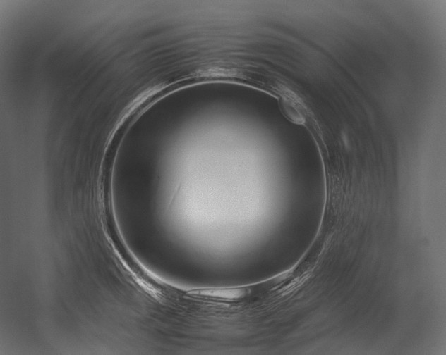 X0000054391141200507291137