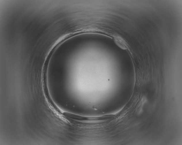 X0000054391142200507291137