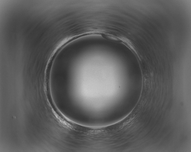 X0000054391143200507291137