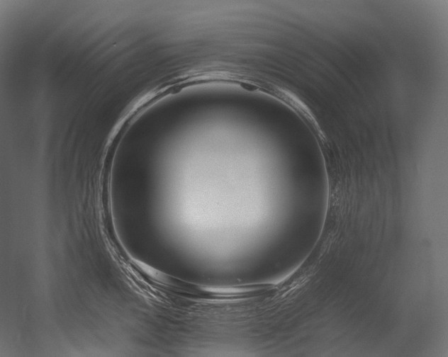 X0000054391146200507291137