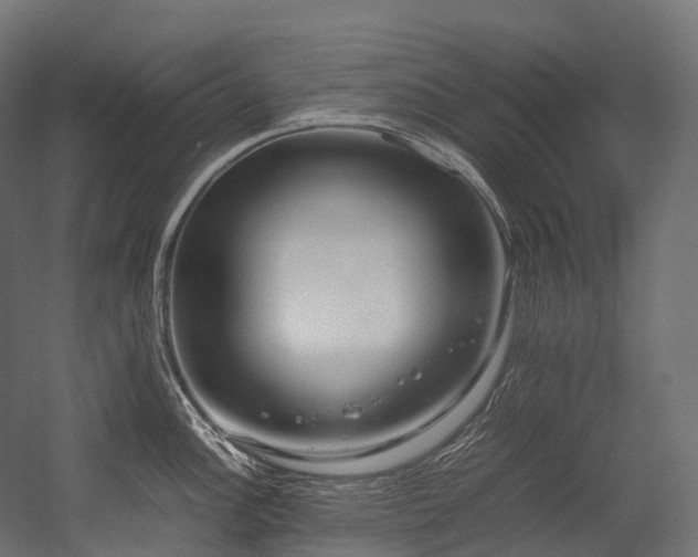 X0000054391148200507291137