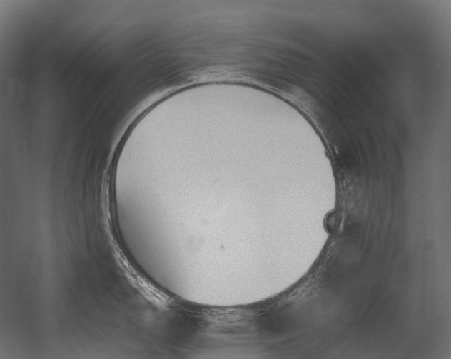 X0000054391150200507291137