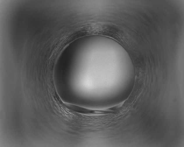 X0000054391153200507291136