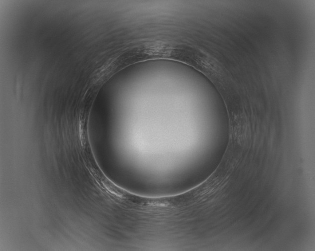 X0000054391154200507291136