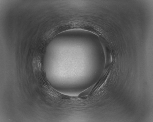 X0000054391155200507291136