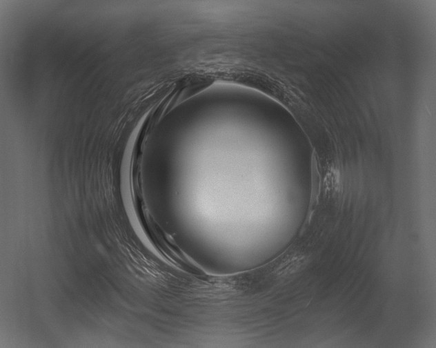 X0000054391156200507291136