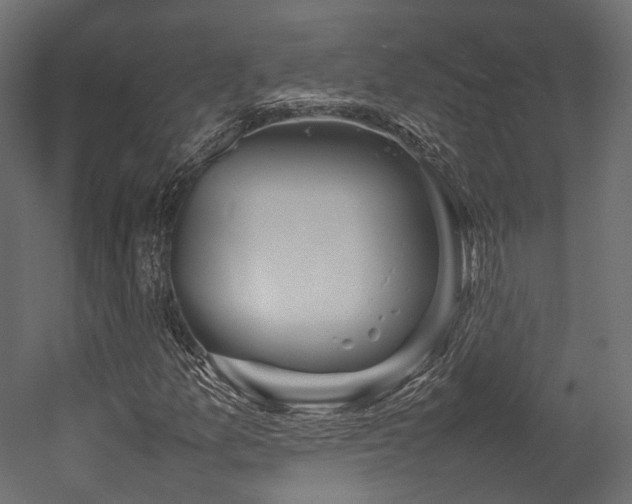X0000054391157200507291136
