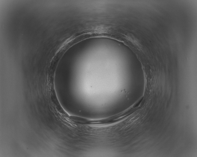 X0000054391160200507291136