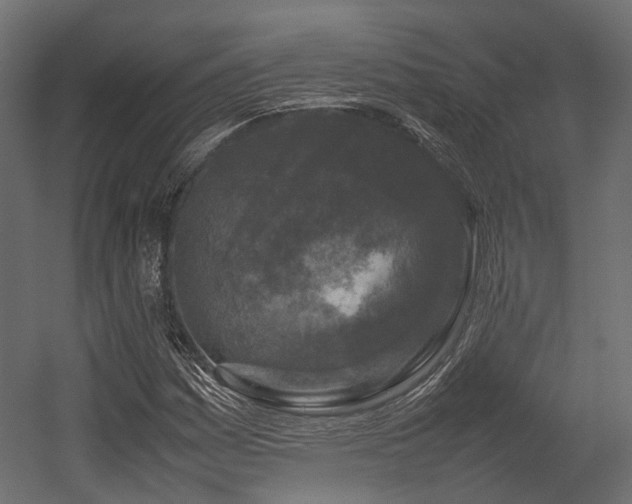 X0000054391161200507291136