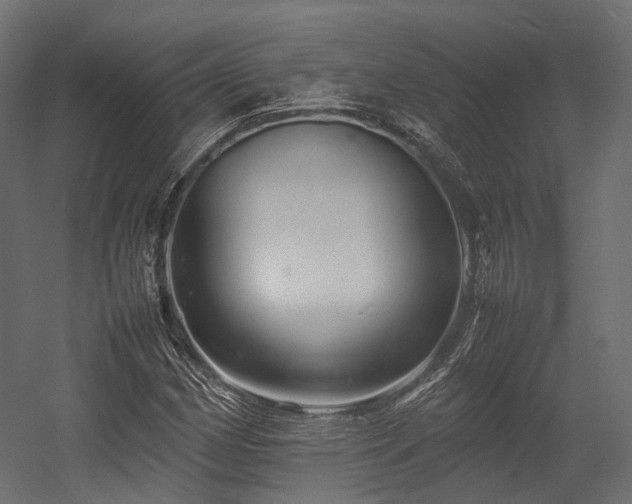 X0000054391162200507291136